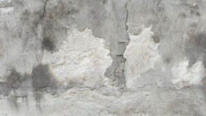 Mietsachschäden Haftpflicht: Was zahlt die Versicherung wirklich?